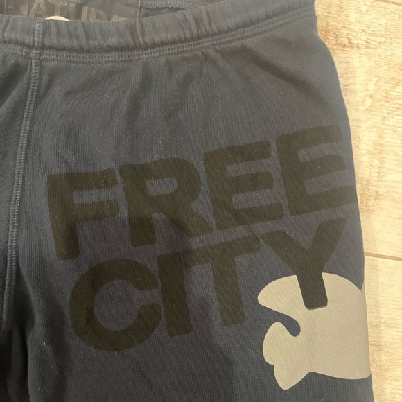 Free City 3/4 navy jogger sweatpants size M barely worn - Picture 3 of 5